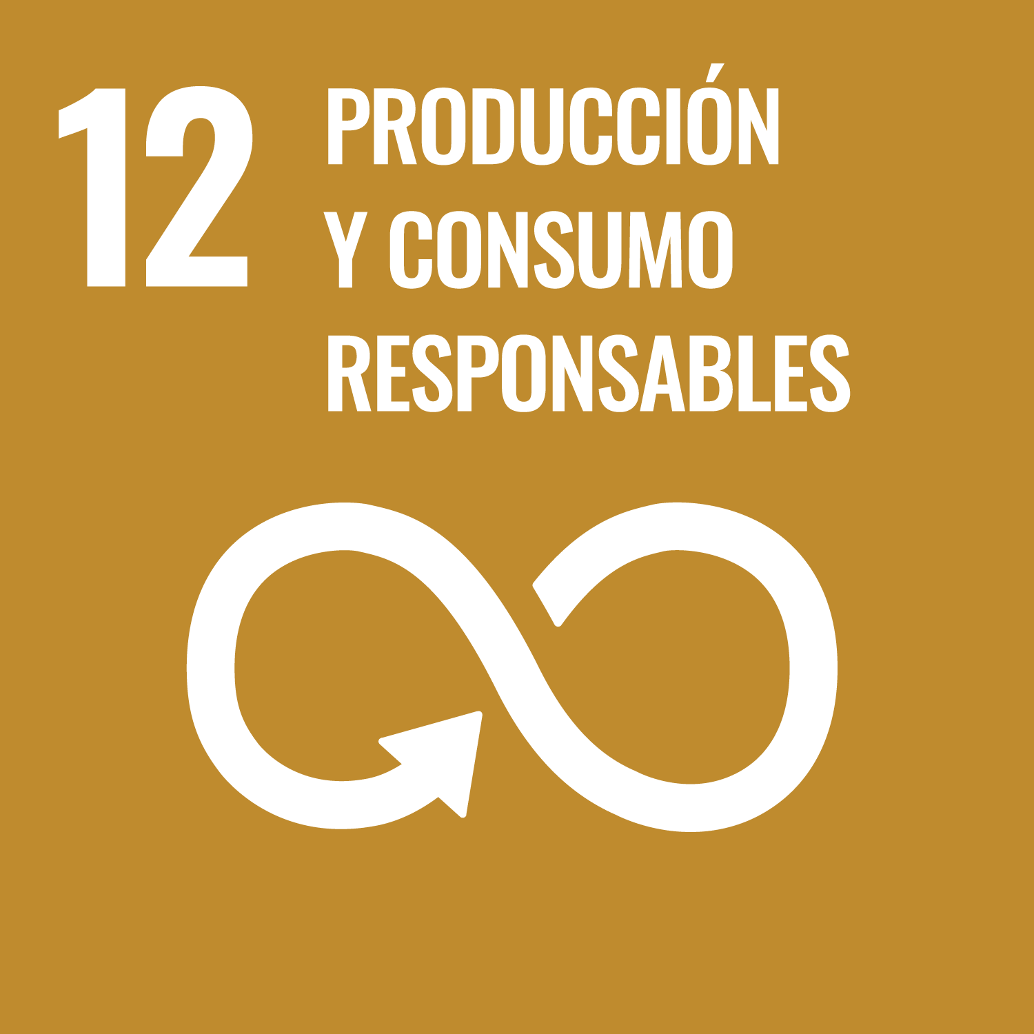 ODS 12 - PRODUCCIÓN Y CONSUMO RESPONSABLES