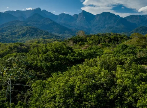Anclando cadenas de valor sostenibles en Brasil